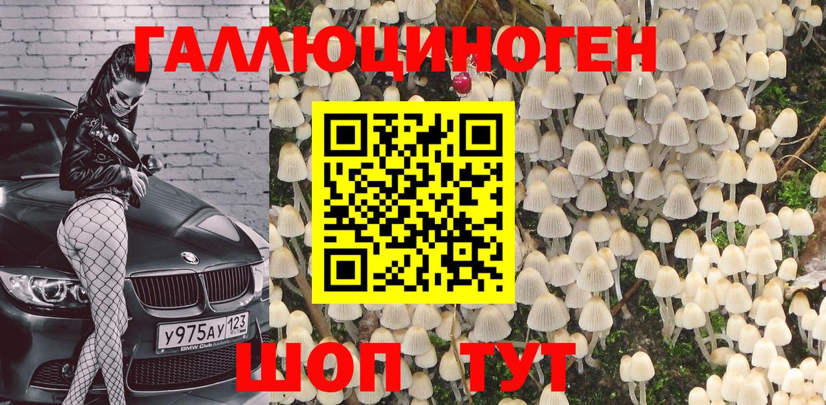 Бугуруслан  Галлюциногенные грибы GOLDEN TEACHER  Вход с VPN 